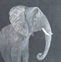 Tiere zeichnen und malen lernen, Elefant mit Acryl auf Leinwand