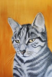 individuell gemaltes Bild einer getigerten Katze