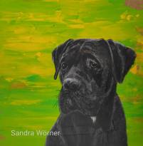 canine portrait painting, Hunde Portrait Malerei